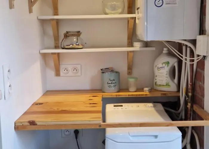 Townhouse With 50 M2 Garden Near Lille Appartement