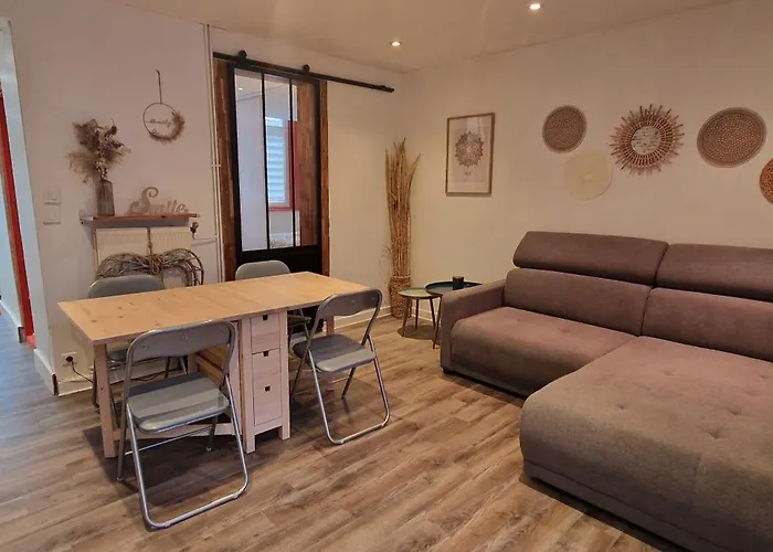 Townhouse With 50 M2 Garden Near Lille Please Note One Bedroom And A Sofa Bed